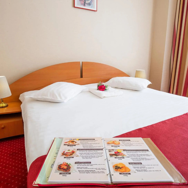 Hotel Dana
