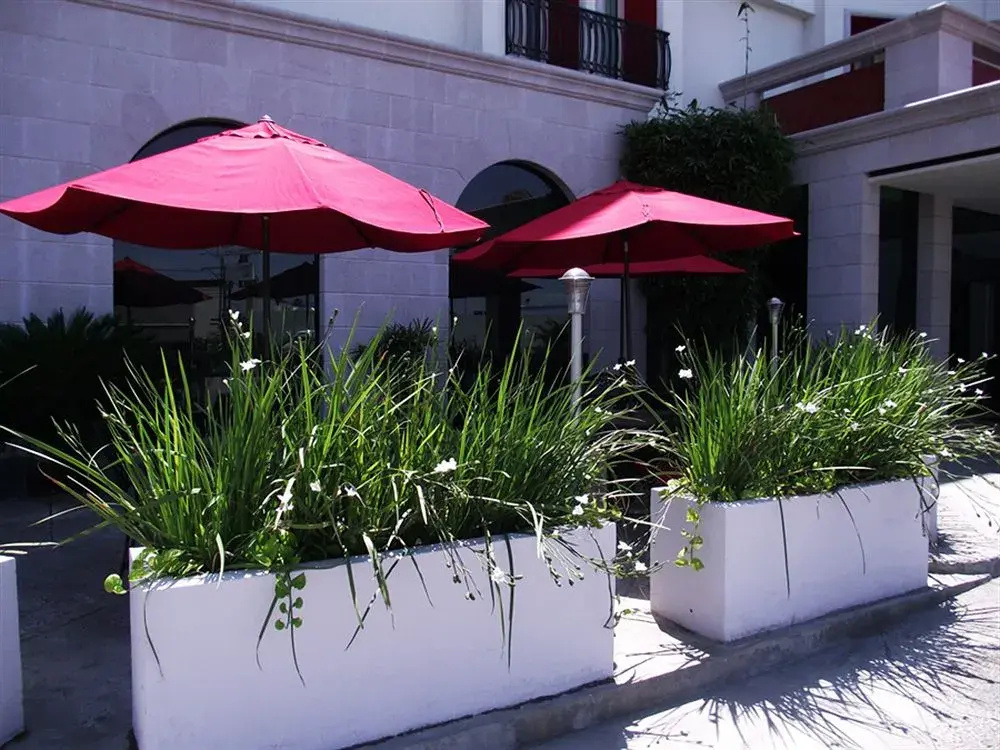 Hotel Colón Plaza Business Class