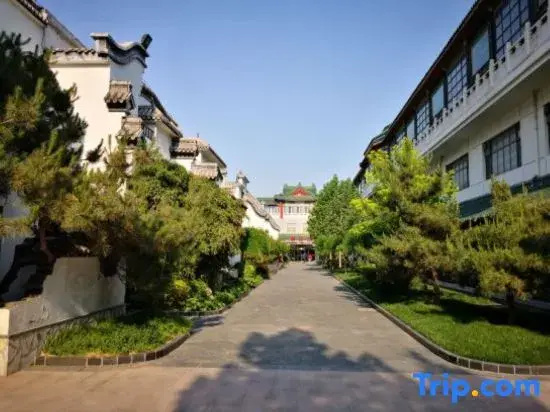 Sichuan Longzhaoshu
