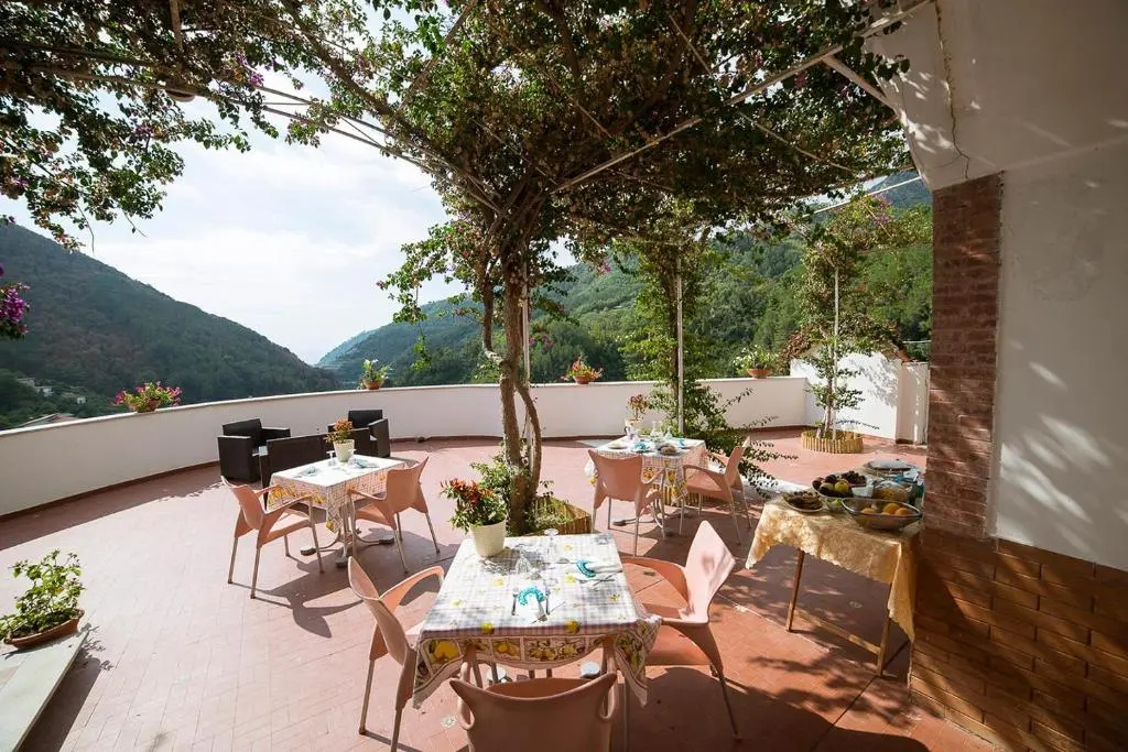 B&B Bouganville