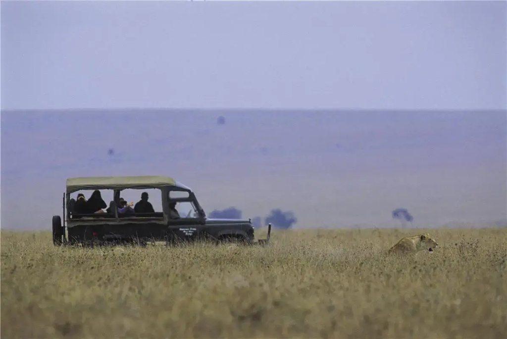 Big Cat Safari , 4 days / 3 nights , Fly-in safari in Kenya