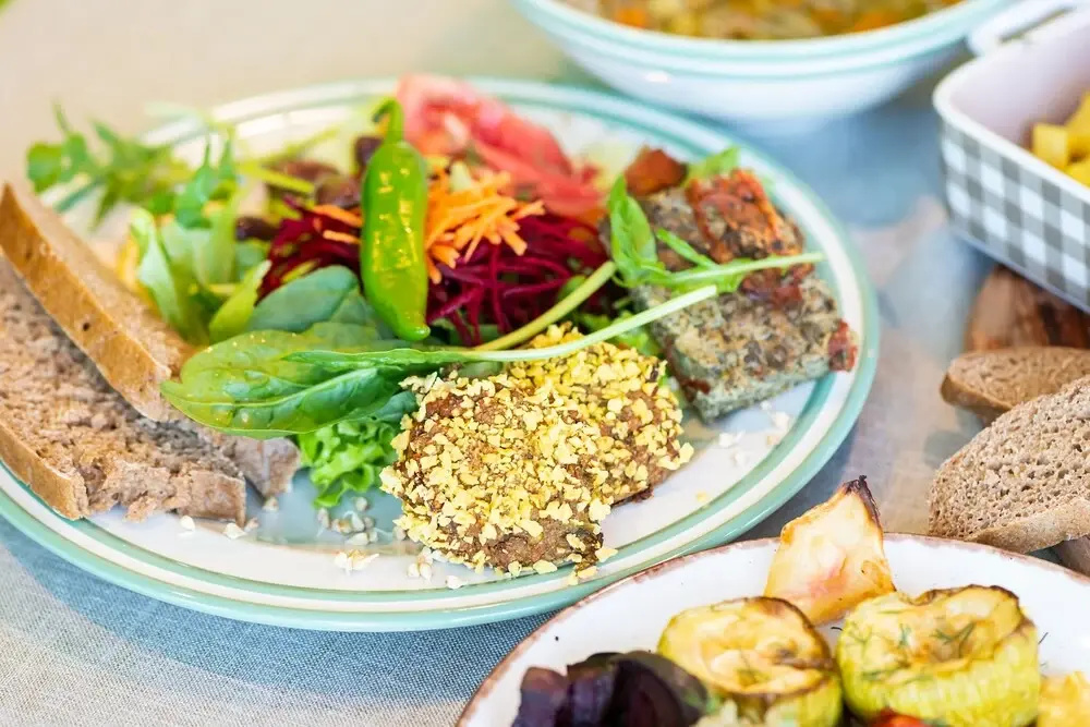 VITA RAMA holistic hotel - vegan FB