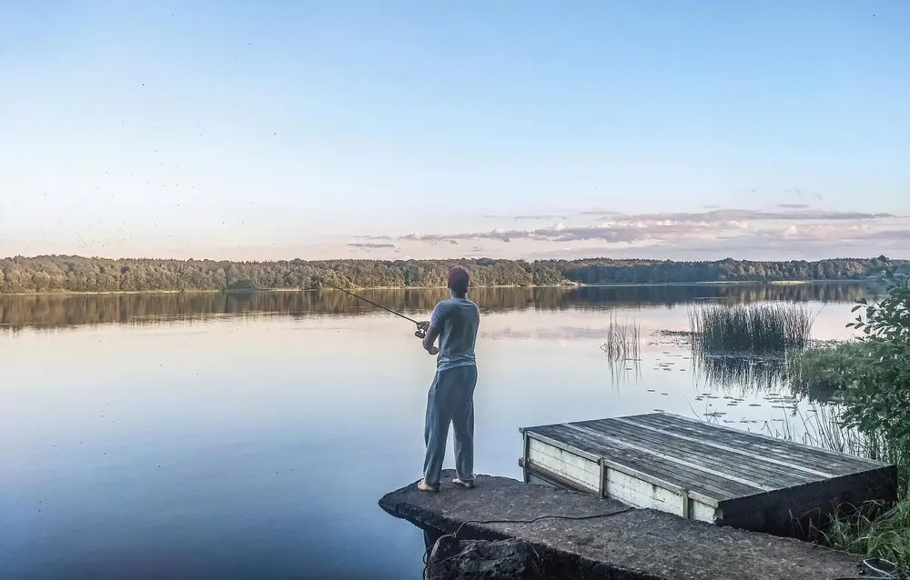 Bjärnhult