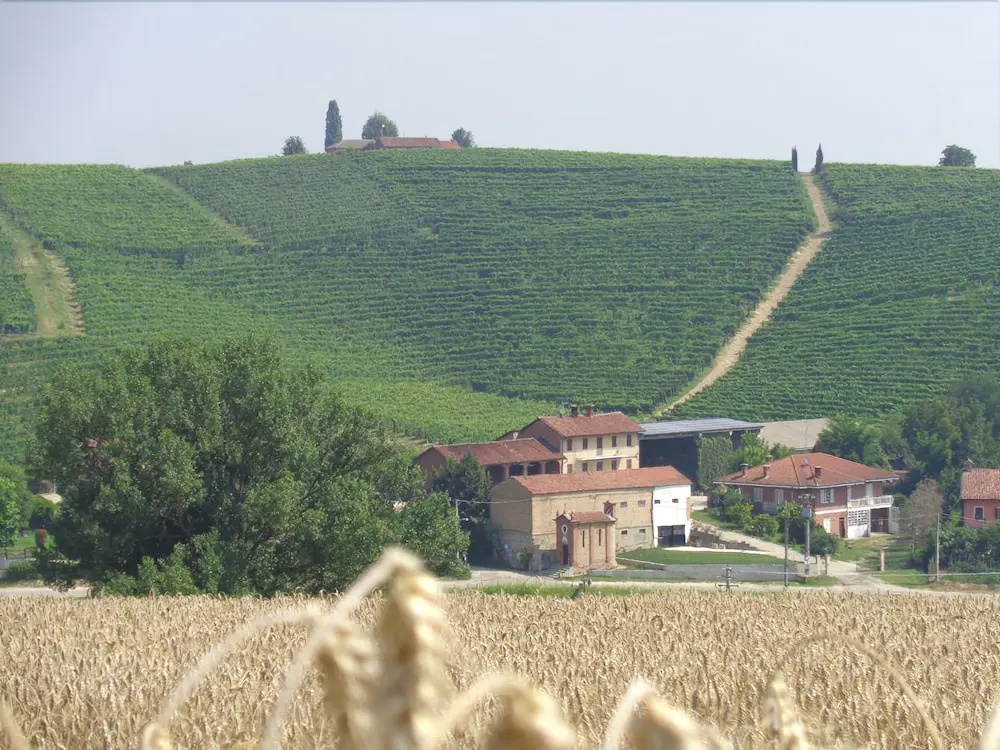 Gran Collina