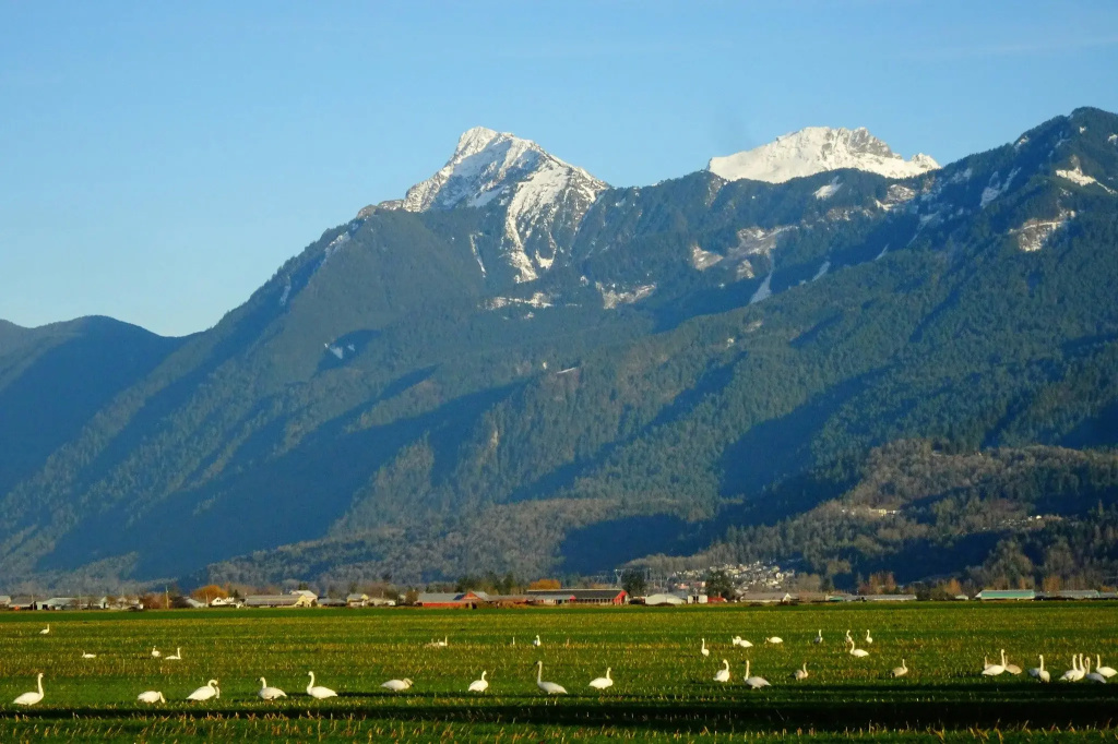 Holiday Inn Express & Suites - Chilliwack East an IHG Hotel