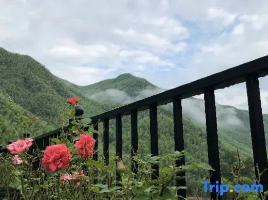 Anji Yinshang Landscape Homestay