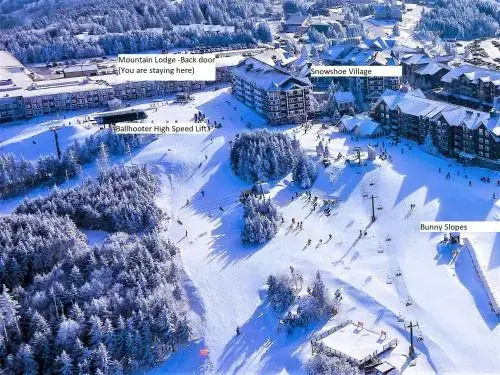 Snowshoe Condo Unit 269