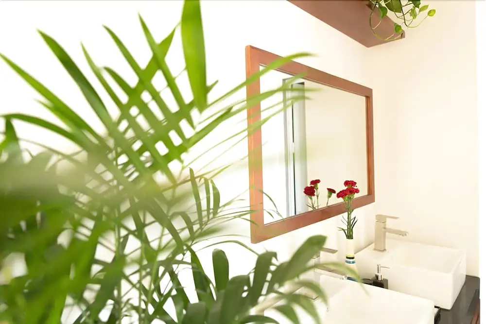 Casa House
