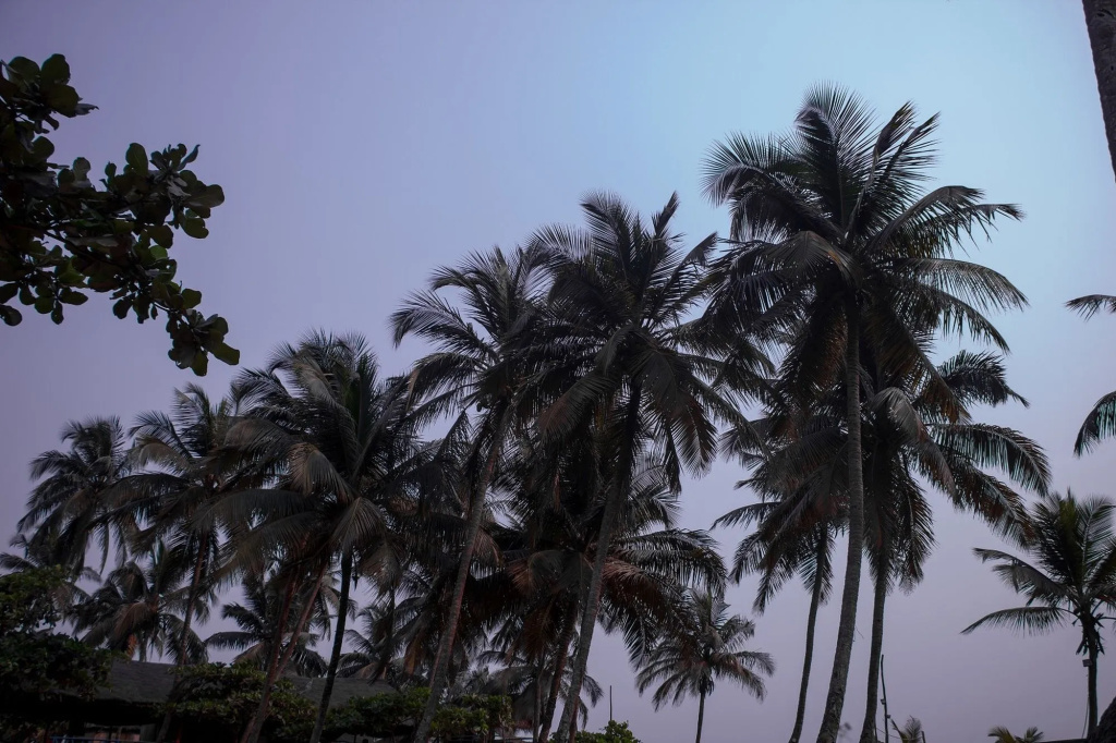 Chaka Resort