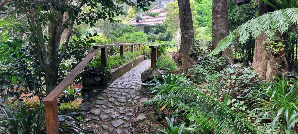 English Gardens - Forest Spa Suite