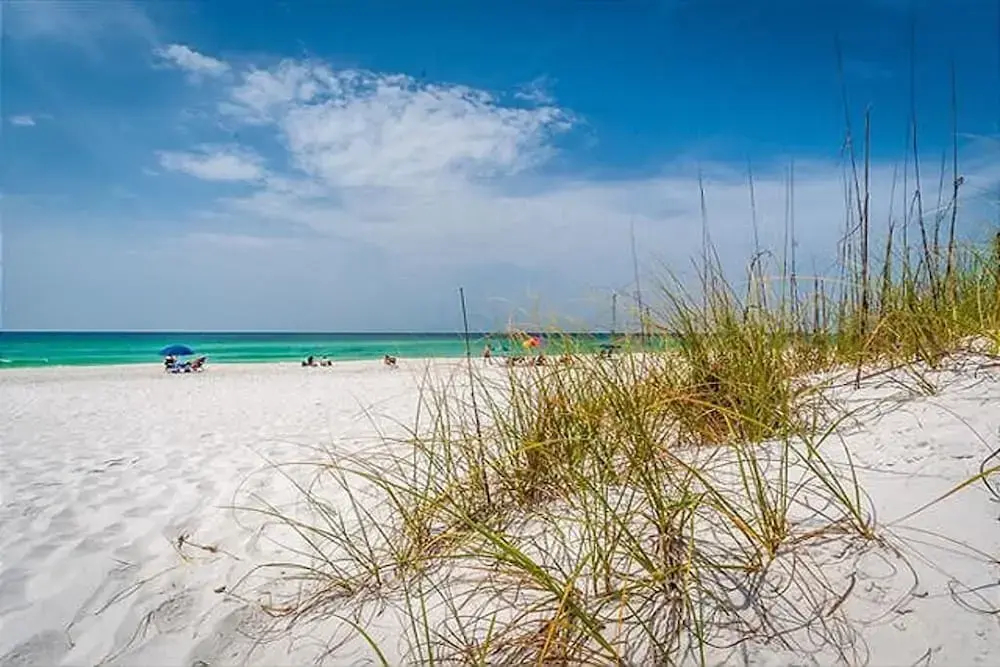 Ariel Dunes Ii-808 - 1149868