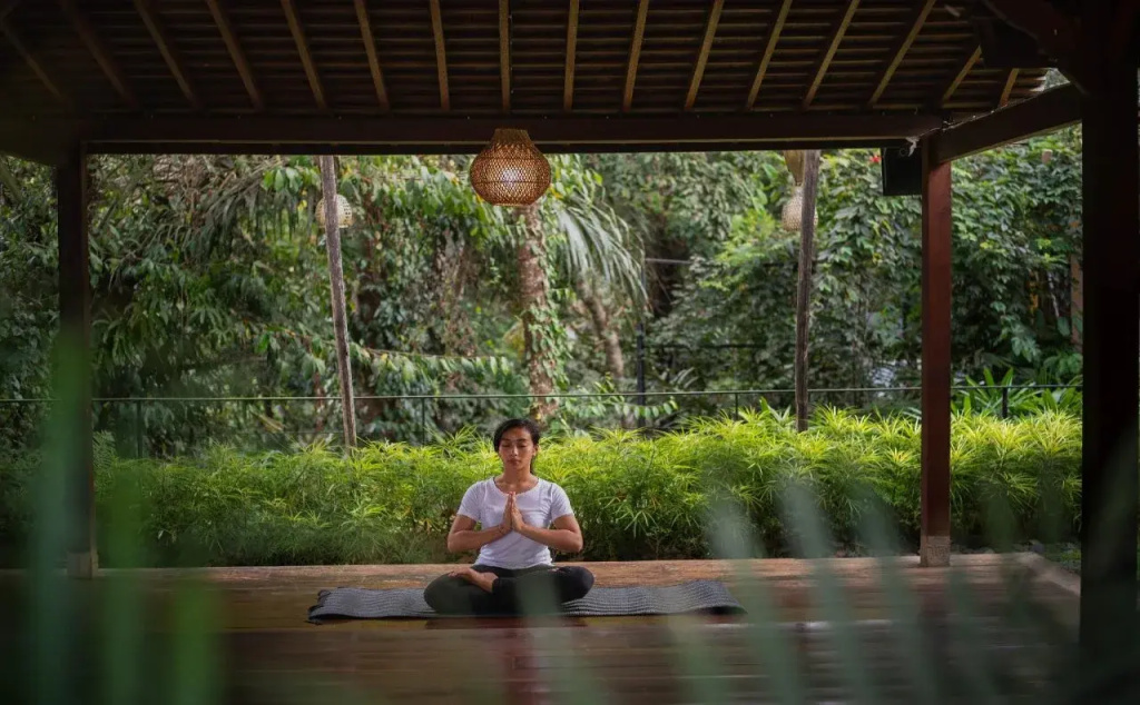 Samkhya Villas - Free 1x Floating Breakfast or Minibar
