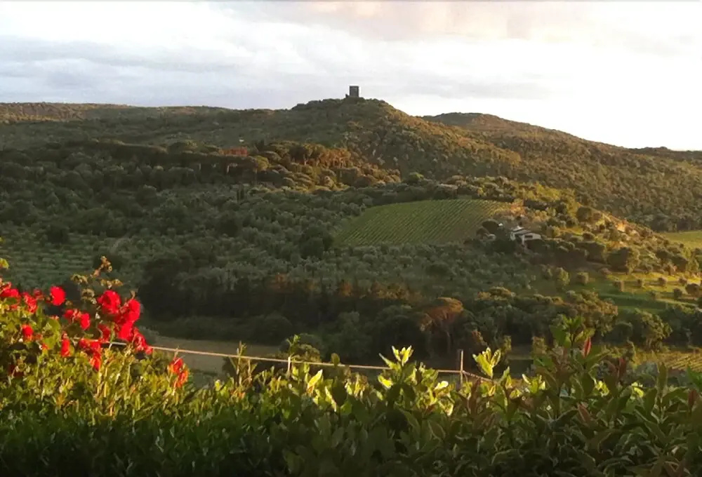 Villa Le Luci