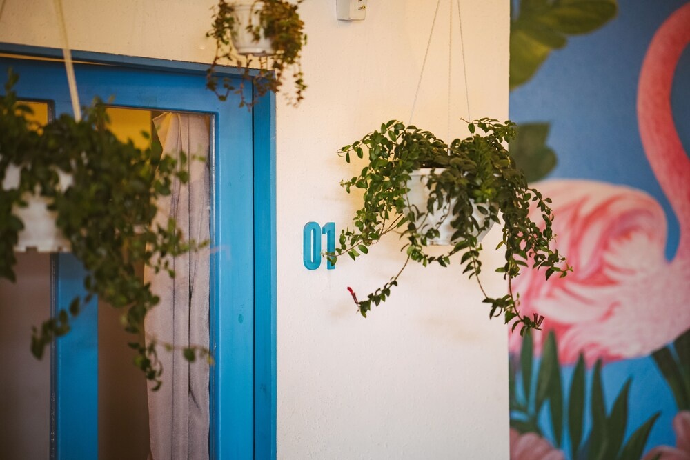Woodstock Dalat - Hostel