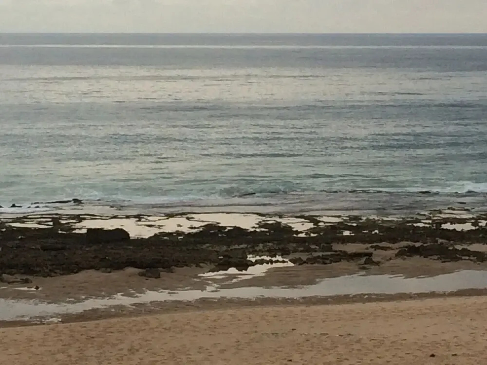 Mango Beach Resort