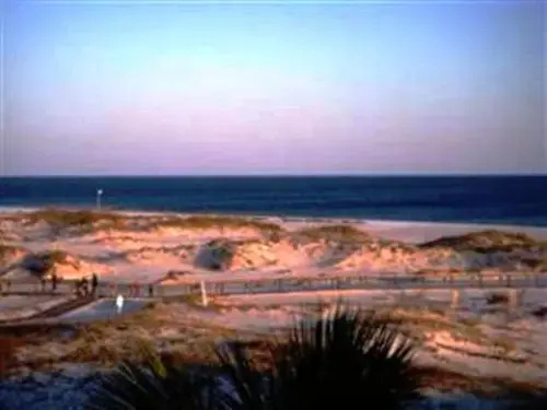 Gulf Shores 1353
