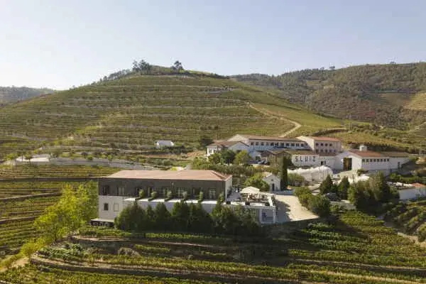 Quinta São Luiz The Vine House Douro