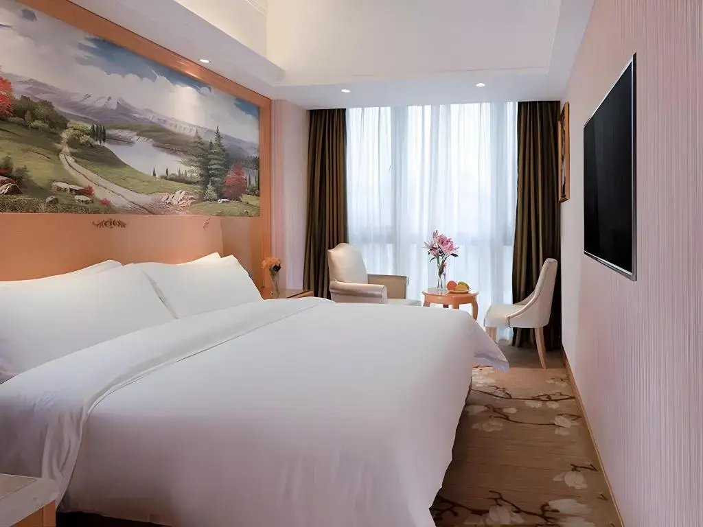 Vienna Hotel (Shenzhen Henggang Metro Station)