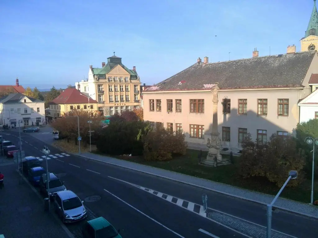 Hotel U Hroznu