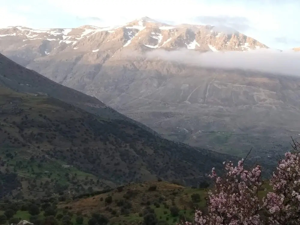 Secret Villa - Kato Saktouria