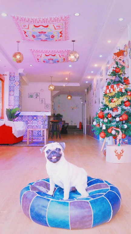 Thai Classic House 2