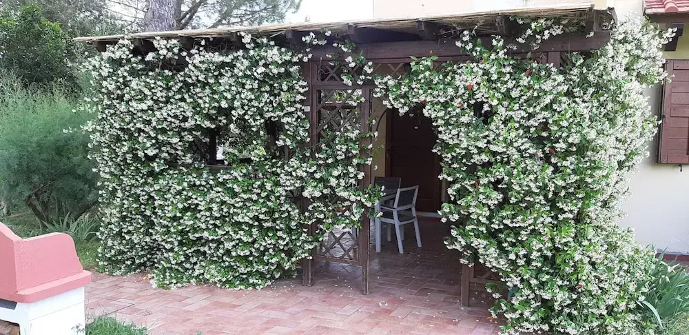 Country House Near Florence Covered Loggia and Private Garden