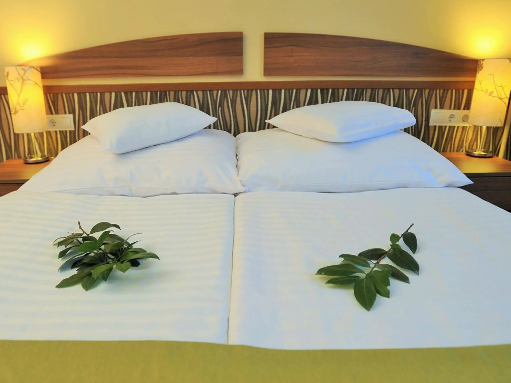 Park Hotel Gyula