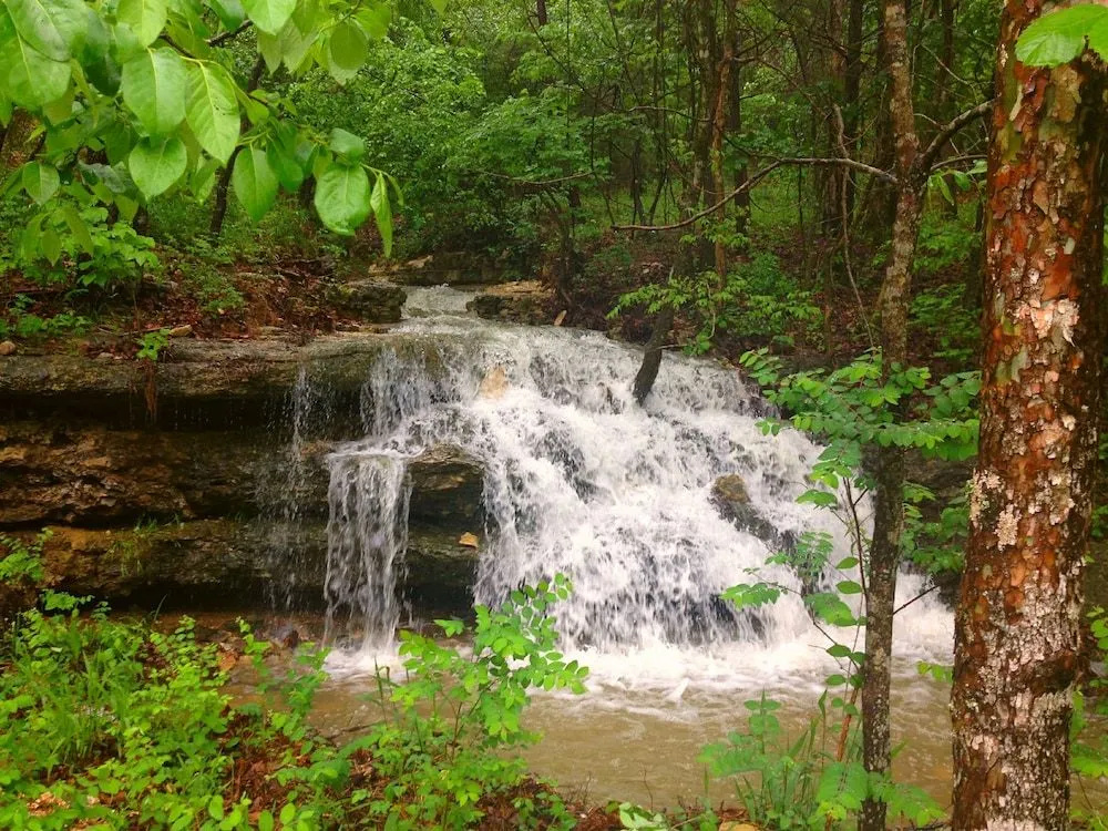 Cinnamon Valley