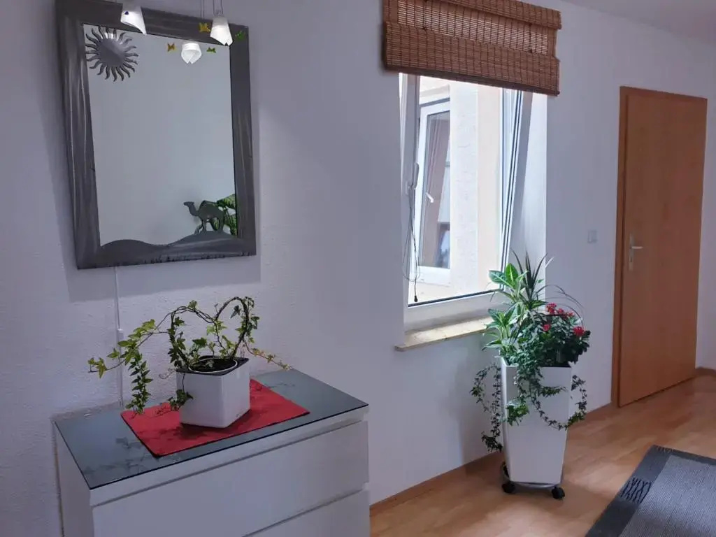 Apartments Suzy
