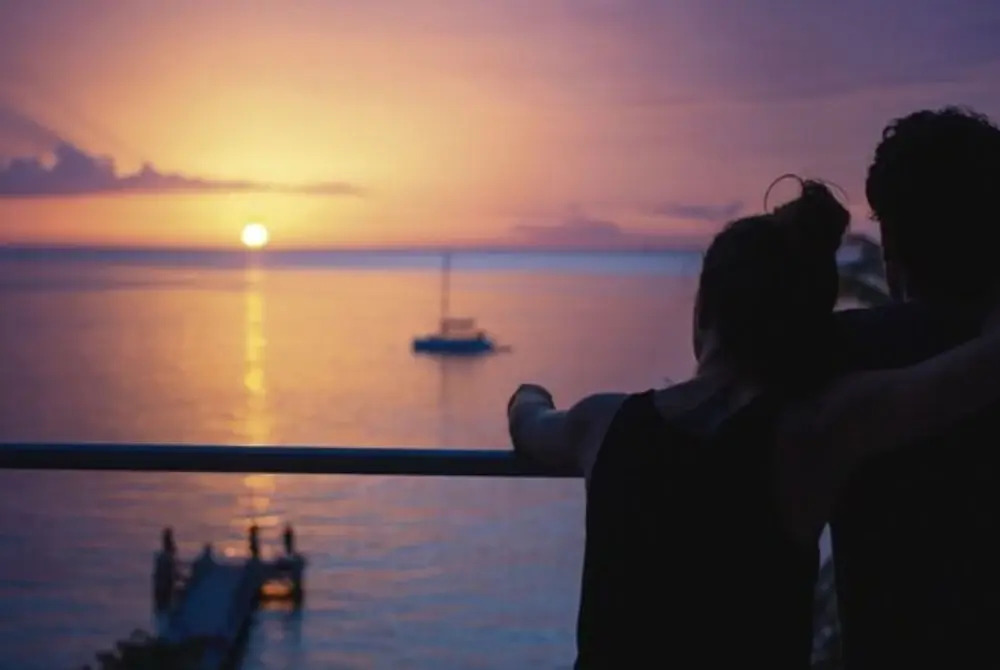 Albatros by Bedsfriends