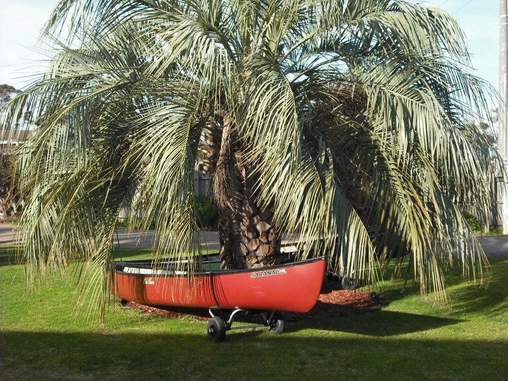 The Beaches on Lakes House