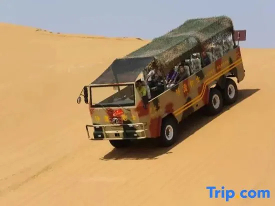 Tengger Desert Yingsha Good - dream Desert Campground