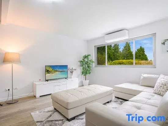 Collaroy 3Br Beach Home with Large Pool