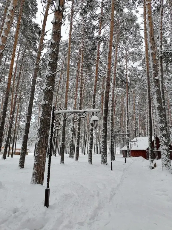 Осетровский пруд