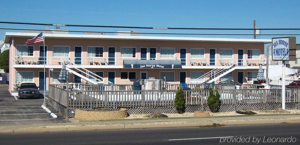 Sea Horse Motel