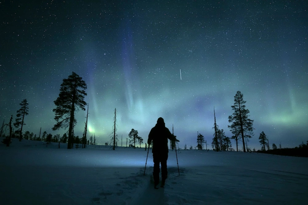 Lapland Hotels Bear´s Lodge