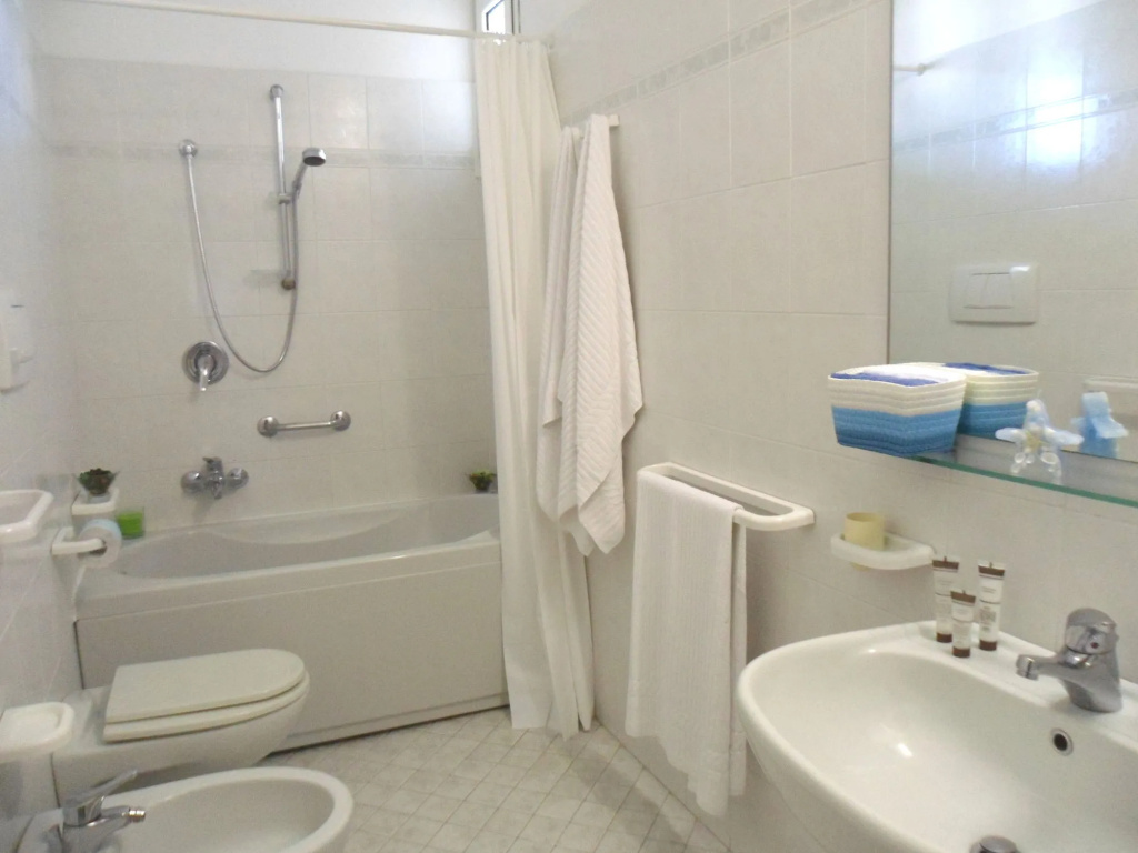 Hotel New Zanarini