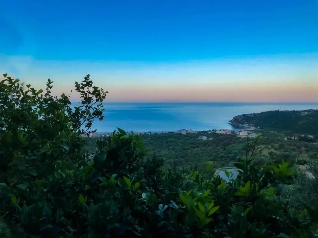 Aphrodite's Garden