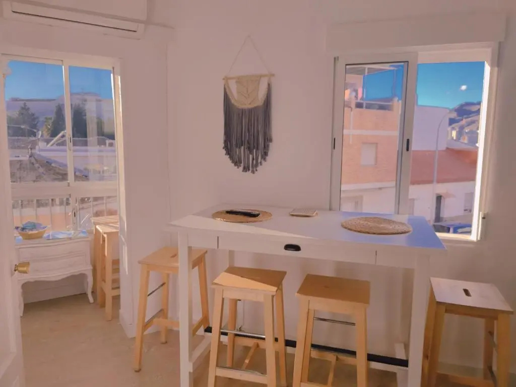 Penthouse duplex with private terrace and cine room 24h entrance