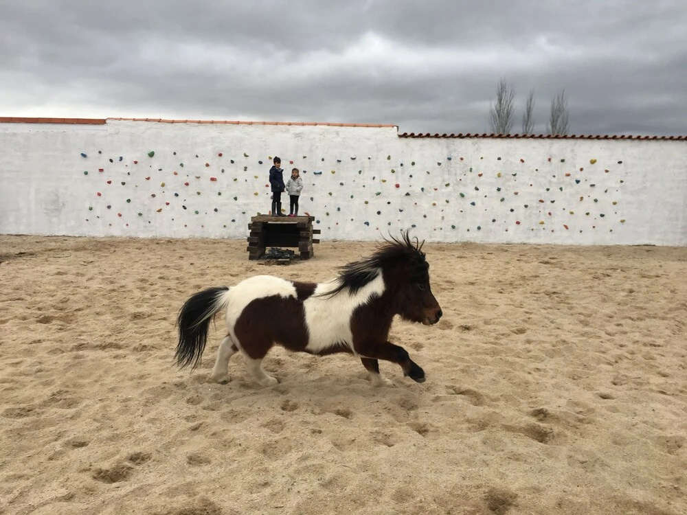 heart & ponie - Retiro Rural Privado con Piscinas