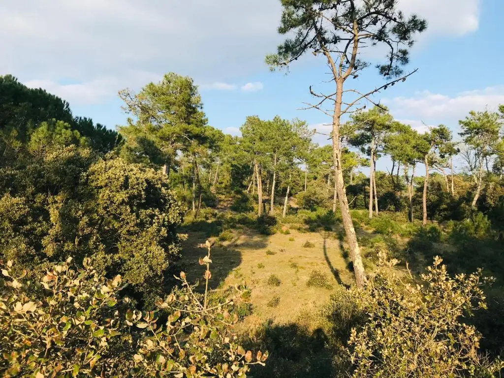 Maison des dunes, à 100m de la mer