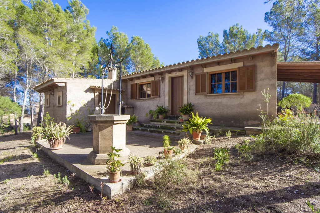 Casa Mas