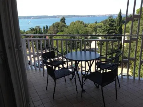 Apartment Brinovec