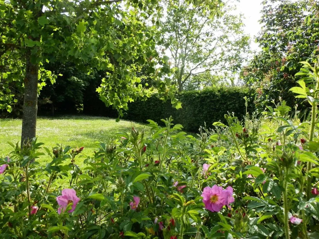 Domaine De Meigne