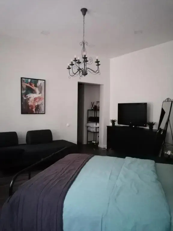 Vilnius city center apartment