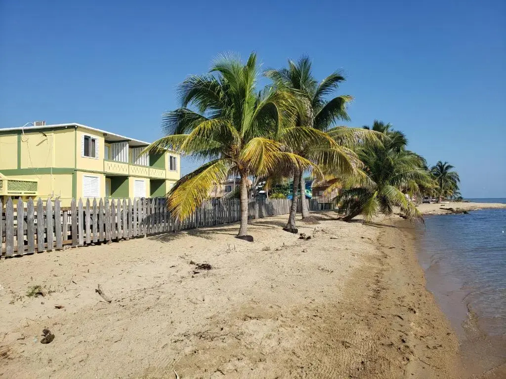 Pals on the beach - Dangriga, Belize
