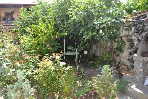 Casa de Oaspeti Dunarea la Cazane