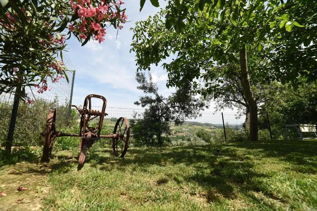 Agriturismo " La Valle degli Ulivi"