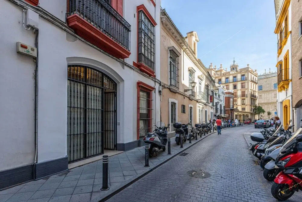Modern Apartment 2 Bd & 2 Bth Near the Cathedral Catedral V
