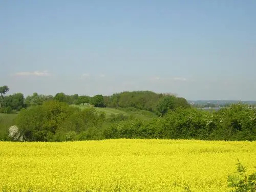Schulwald
